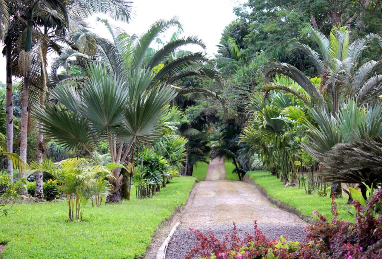 Bnb Tropical Island Aparthotel - Corales Del Sur - Santo Domingo Este Экстерьер фото